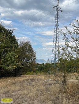 Bilecik Söğüt Dömez Köyünde 4.896m² Tarla Köye 250mt