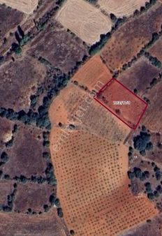 Uşak Karahallı Delihıdırlı Köyünde 1731 M² Satılık Tarla!