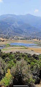 Satılık Tarım Arazisi İbni Melek Mahalesinde Selçuk Yolu Üzerind