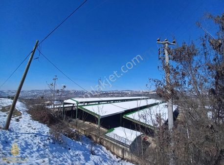 İzmit Durhasan'da Kuzey Marmara Otoyoluna Yakın Yatırımlık Tarla