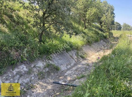 Çanakkale Merkeze 5 Dakika Mesafede Özbek Köyünde Satılık Tarla