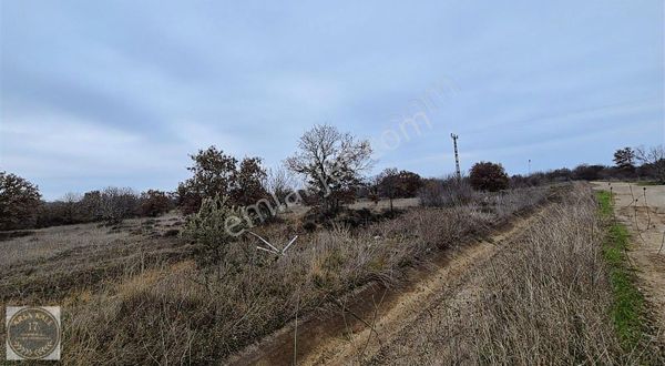 Yeniköy Sahile Yakın Hobi Bahçesi 883m2