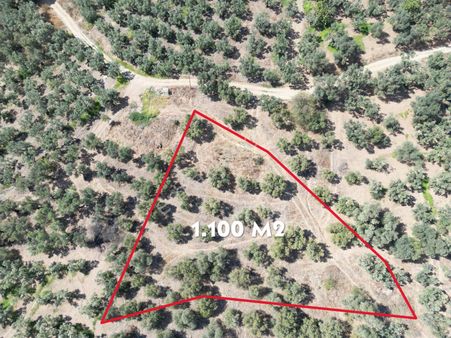 Kumla Konak Emlak”tan Satılık Yola Sıfır Zeytinlik