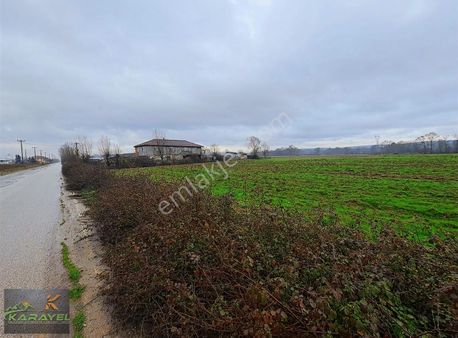 Sakarya Kaynarca Uzunkışlada 950 M2 Satılık Tarla.