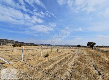 Foça Bağarası 135 M2 Bahçe