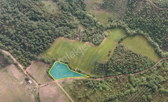 Çanakkale Biga Harmanlı 4.200m2 Yatırımlık Fırsat Tarla