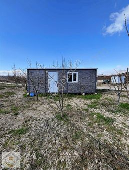 Yapıntı Mahallesi Satılık Kayısı Bahçesi