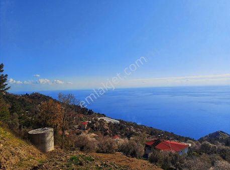 Antalya Gazipaşa Zeytinada 2090m2 Satılık Tarla