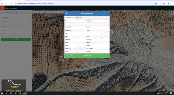 Aşina'dan Zeytinli Mahallesin'de Satılık Zeytin Tarlası