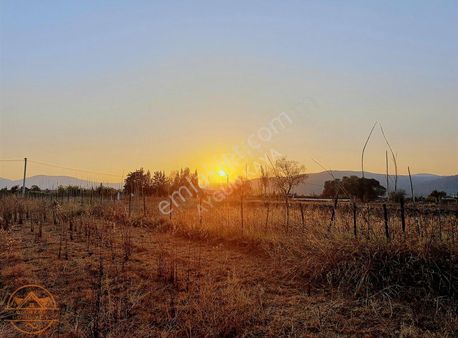 Mumcular'da 1598 M2 Tarla İçinde Müstakil 1+1 Kiralık Daire