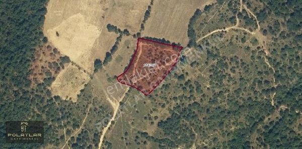 Balıkesir Balya Mancılık Köyü'nde 4.389 M2 Fırsat Tarla !!!!