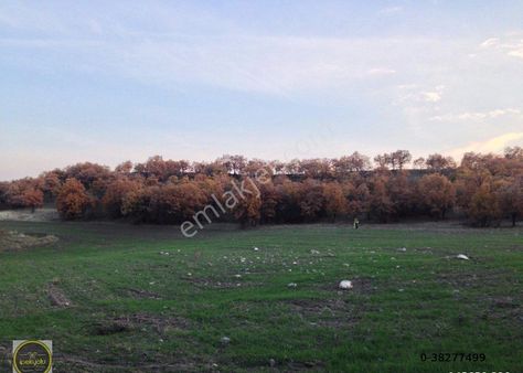 İpekyolu Gayrimenkul Satılık 29,401 M2 Üregil De Çiftlik Arazisi