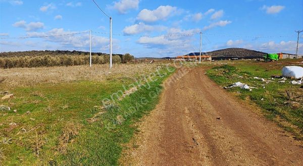 Ezine Pinarbasi Köyünde Konut İmarlı Satılık Arsa
