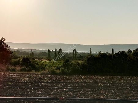 Eab'den Çanakkale Lapseki Umurbey Beldesi 10.650 M2 Köprü Yolu Mevkii Boğaz Manzaralı Zeytinlik