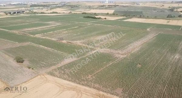 Saray / Beyazköy' De 3191 M2 Saray Gişelerin Yanı Müstakil Tarla