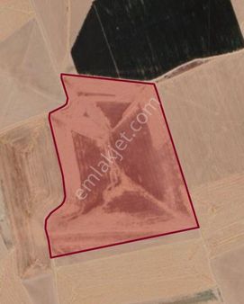 Sezenler Emlaktan Cihanbeyli Hodoğlu Mahallesi'nde Satılık Tarla