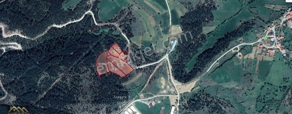 Bolu Pelitçik Köyü Satılık (23000m2) Tarla