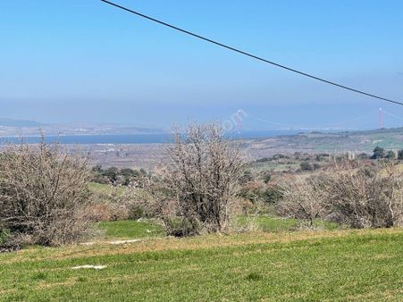 Boğaz Köprüsü Manzaralı Önü Kapanmaz Tarla