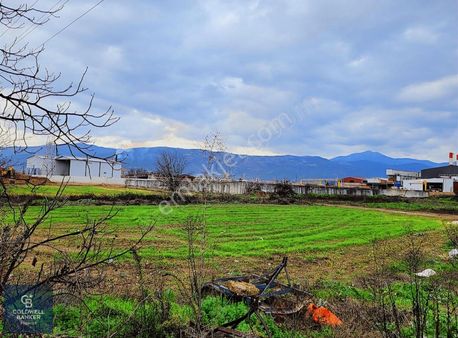 İzmir Ödemiş' Te Satılık 2 Parsel Arazi