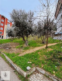 Asm'den Kestel Çamlık 3 Kat İmarlı Arsa