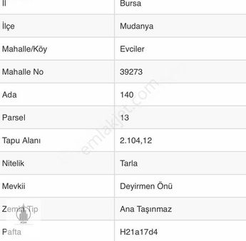 Asm Gayrimenkul'den Mudanya Evcilerde Mükrmmel Konumda Tarla