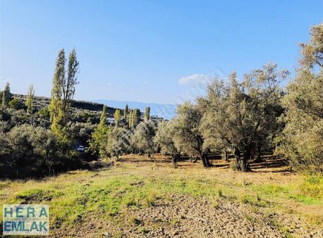 Yerleşime Yakın. Göl Ve Köy Manzaralı. Dümdüz Hobi Bahçesi