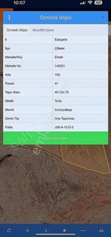 Çifteler De Gess Arazisi Yanı Arazi