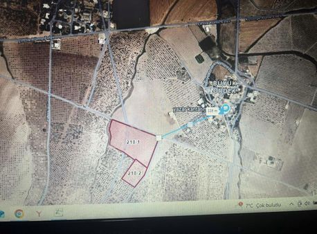 Şanlıurfa Merkez De Antep Fıstık Bahçesi