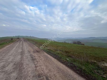 Re/max'ten Yalova Çukurköy'de Yola Cepheli 6.960 M² Arazi