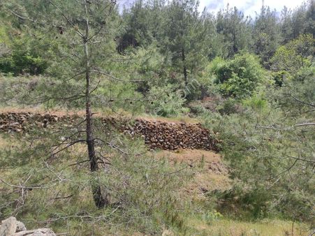 Mülk Emlak A İl Satilik İhtiyaçtan Tarla