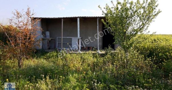 Satılık Tarla 2885 M2 30 M2 Belgeli Odası Var
