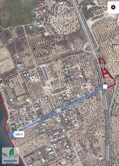 Şakranda Anayola 195 M Cepheli Denize 630 M Satılık Zeytinlik