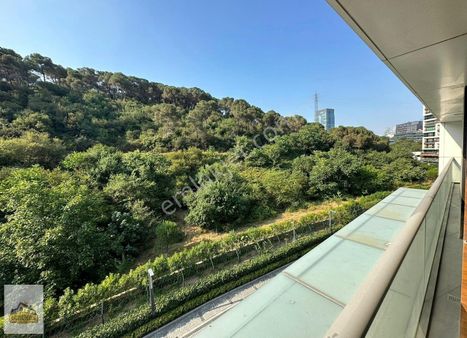 Vadistanbul Teras 3+1 Orman Mnz Boş Güncel Satılık Daire