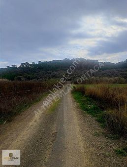 Altın Emlak | Sarıgerme Yoluna Yakın Arazi 1827 M2