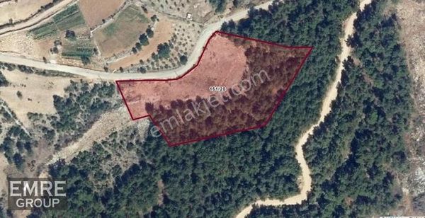 Muğla Kozağaç Mahallesinde Yola Cepheli, 11.585m² Fırsat Tarla