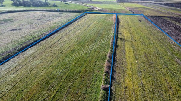 Han Emlak Otomotiv'den Ezine Mahmudiyede 11000 M2 Satılık Tarla