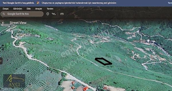 Avcı'dan Gerce Mahallesinde 3800 M2 Fındık Bahçesi