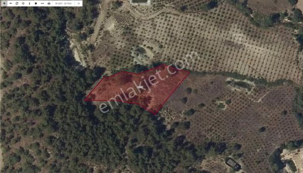 Kaş Viga Emlak'tan Çeşme Köyünde Fırsat Tarla