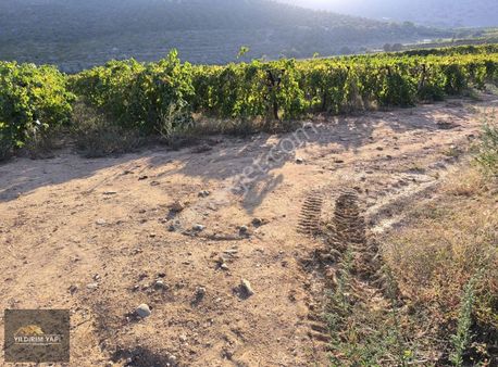 Yıldırım Yapı Gayrimenkul'den Satılık Kupon Üzüm Bağı
