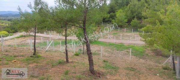 Menderes Çatalca'da 290 M2 Hisseli Tarla Satılıktır