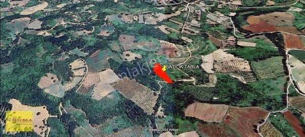 Roma' Dan Maden Köyünde Satılık Tarla