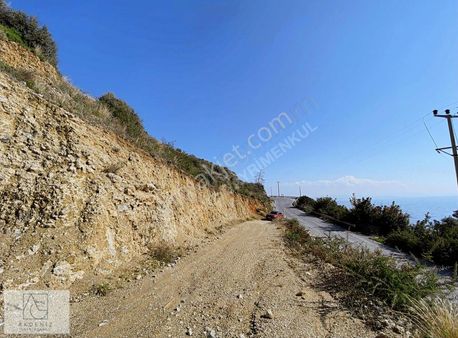 Ören Türkevlerinde Denize Sıfır Satılık Zeytinlik