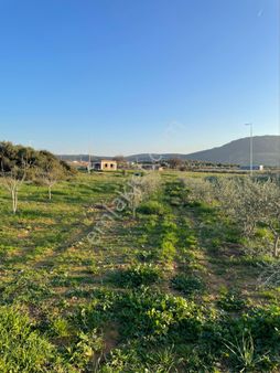 İzmir Menderessatılık Arsa