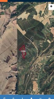 Gelibolu Değirmendüzü Yatırımlık Tarla
