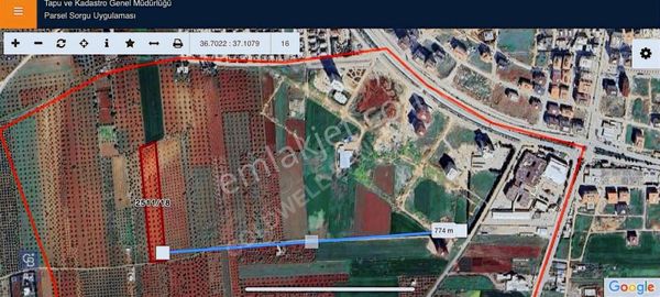 Cb Golddan İmar İçerisinde Zeytinlik Arazi