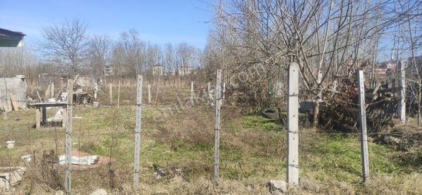 Samsun Terme Yunusemre Mah De Satilik İmarli Arsa Uygun Fiyat