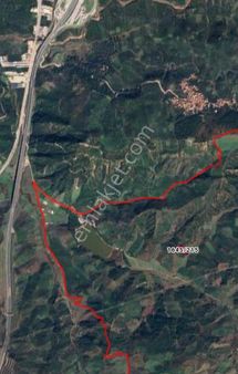 Kurtul Göleti Mesire Alanına Yakın Satılık Zeytinlik