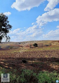 Ovacık'ta Müstakil Tapu 3300 M2 Tarla