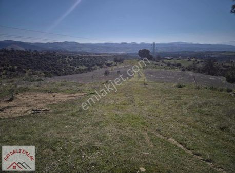 Manisa Köprübaşı Şeleklerde 40.000m2 Tarla