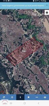 Manisa Köprübaşı Yarderede 24.800m2 Tarla